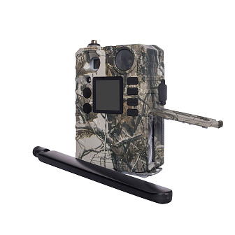 Фотоловушка BolyGuard BG310-MFP
